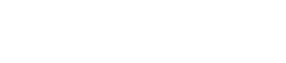 IN-SURVEYONE
